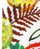 Штора для ванной Bath Plus Charme Red ch-21313 180х200, Tropical Fruits фото 10