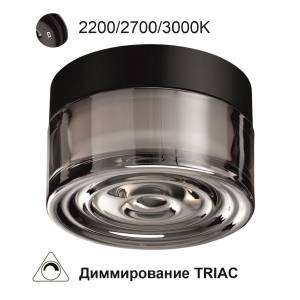 Уличный потолочный светодиодный светильник Odeon Light Ronda 7157/6CL