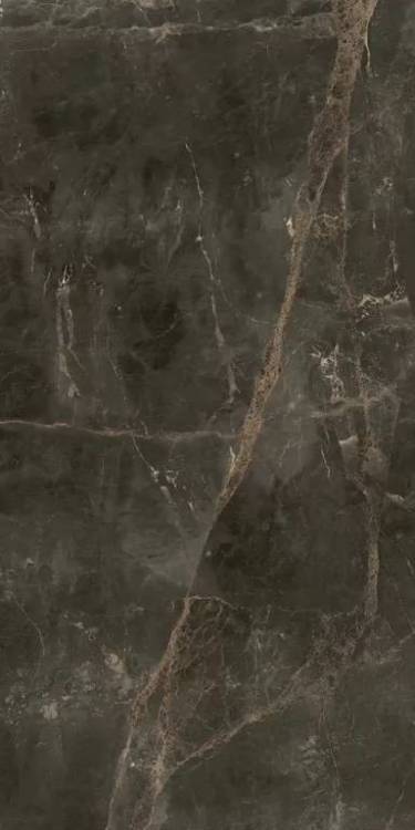 Керамогранит ColiseumGres Canova 610010005768 Dark Ret 60x120