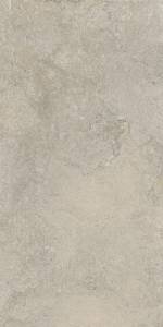 Керамогранит Cercom Stone Vision 1090664 Ash Ret 60x120