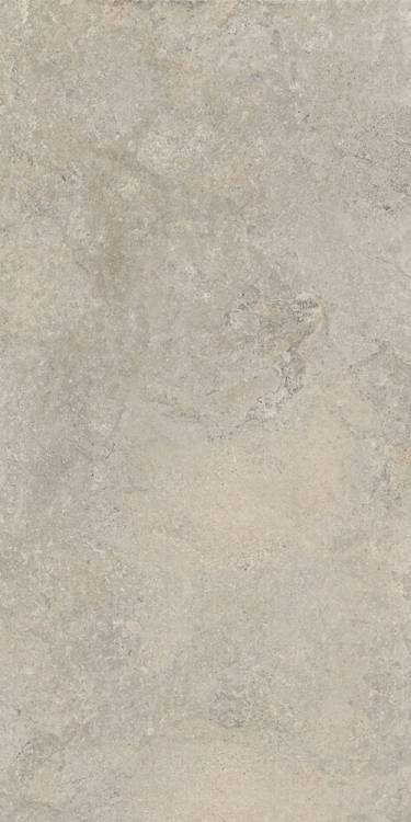 Керамогранит Cercom Stone Vision 1090664 Ash Ret 60x120