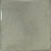 Керамическая плитка EQUIPE Splendours 23973 GREEN 15x15
