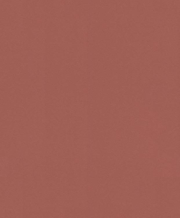 Обои виниловые Rasch Selection Vinyl/Vlies 806878