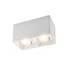 Накладной светильник Denkirs DK3020WW DK3035-WH