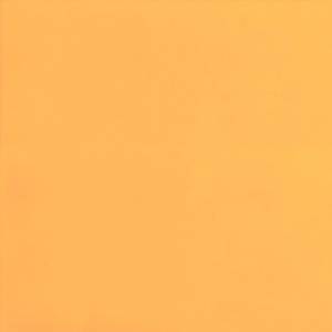 Линолеум Tarkett Omnisports Reference (Омниспортс Референс) Yellow (Желтый) (рулон: 2x20.5=41 м2)