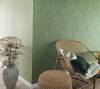 Обои виниловые Marburg Botanica 33031 фото 2
