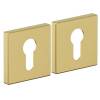 Дверная накладка Bravo AS-3CL SGold