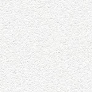 Обои Alessandro Allori Barbara 65438-1R
