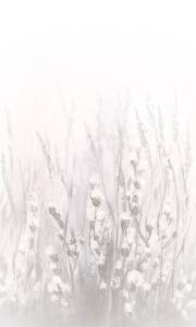 Панно Marburg Cashmere (Кашемир) 36595