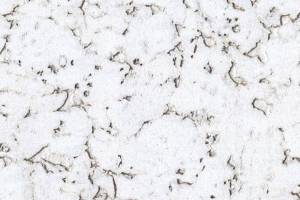 Пробковое покрытие Corkstyle Wall Design Monte Snow 600x300x3