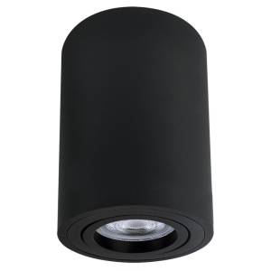Светильник потолочный Arte Lamp Sentry A1566PL-1BK