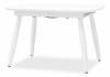 Стол обеденный Stool Group Чикаго SGR_DT-964S-W-120