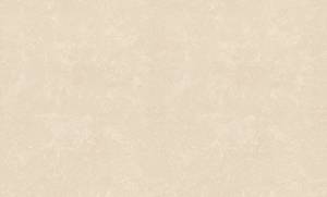 Обои Rasch Graffiti Exclusiv 910568