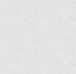 Обои Victoria Stenova Seoul 588620