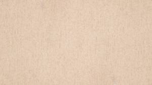 Линолеум Tarkett Travertine Pro (Травертин Про) Beige (Беж) 01 (рулон: 2.5x20=50 м2)