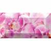 Бордюр Ceramica Classic Impression br1020D190-1 10x20