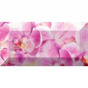 Бордюр Ceramica Classic Impression br1020D190-1 10x20