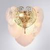 Настенный светильник Arte Lamp Kapri A4078AP-2GO фото 3