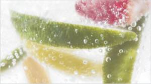 Декор Ceradim Mojito Dec 2 25x45