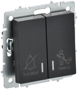 Выключатель 2-клавишный IEK Brite BR-V20-2-10-K02 черный