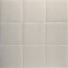Керамогранит Mainzu Technical Soft Koala 20x20