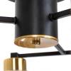 Потолочная люстра Arte Lamp Leo A7027PL-6BK фото 2
