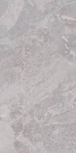 Керамогранит Kerama Marazzi Парнас SG809600R серый обрезной 40x80