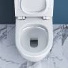 Чаша для унитаза-компакта BelBagno Sfera-R BB2141CPR/SC с сиденьем дюропласт soft close фото 3