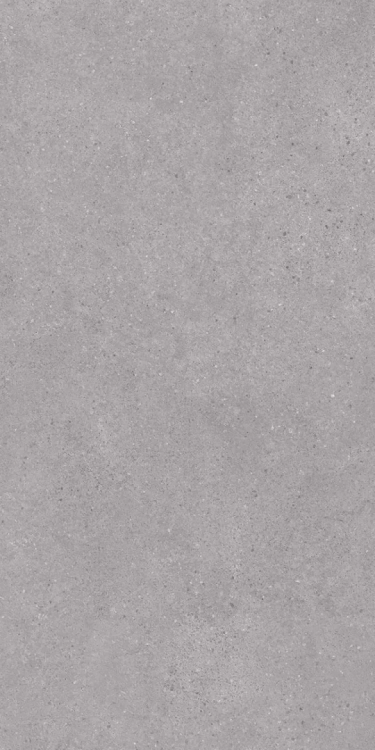 Керамогранит Kerama Marazzi Фондамента DL590020R серый светлый обрезной 119.5x238.5x0.9