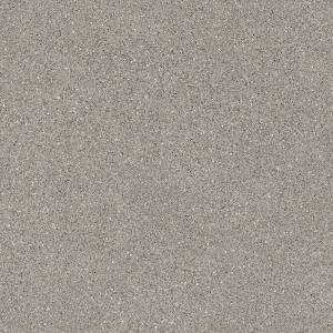 Линолеум Profi Master 2_0887 Proxi (рулон: 3x22.7=68.1 м2)