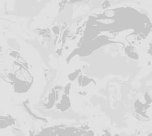Обои Rasch Young Artists 100402