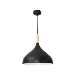 Подвесной светильник Arte Lamp Kayla A7101SP-1BK