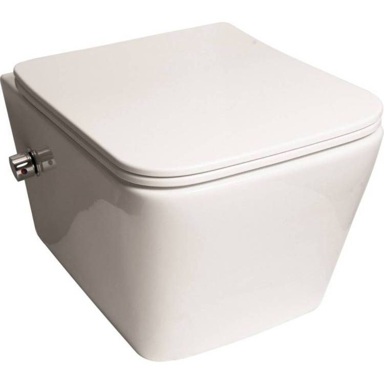 Унитаз подвесной SantiLine SL-5004SM-BD безободковый, с крышкой-сиденьем микролифт