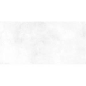 Керамическая плитка Alma Ceramica Richard TWU09RCD000 24.9x50