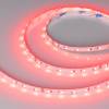 Лента светодиодная Arlight Rz 42909