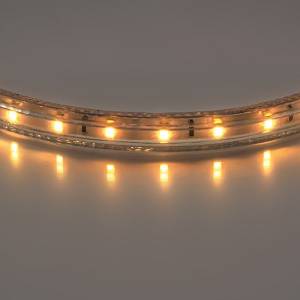 Лента светодиодная Lightstar 402002 Теплый белый свет