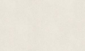 Обои Rasch Wall Textures Xl III 973006