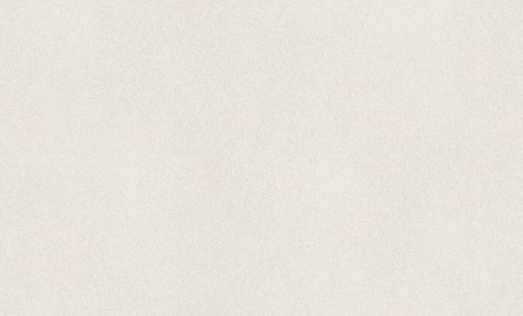 Обои Rasch Wall Textures Xl III 973006
