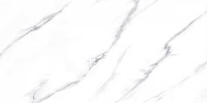 Керамогранит Fanal Pulido Nplus Carrara 60x120