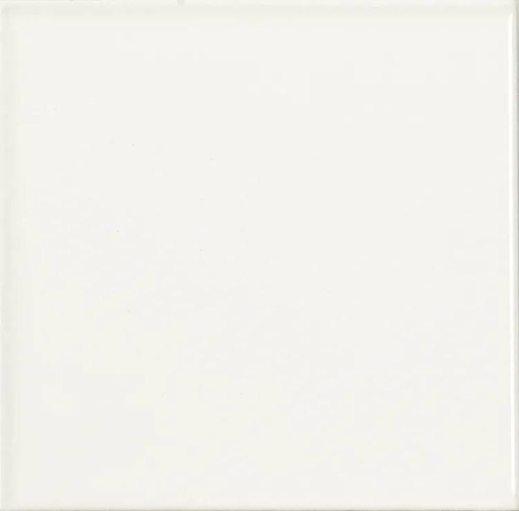 Керамическая плитка Absolut Keramika Liso Brillo Blanco 20x20