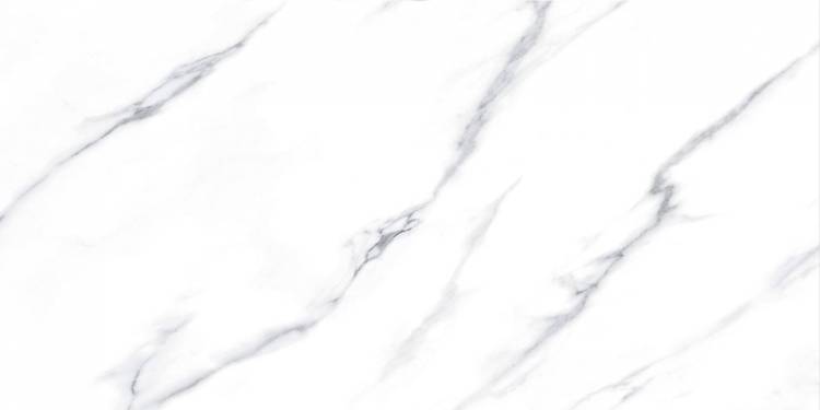 Керамогранит Fanal Pulido Nplus Carrara 60x120