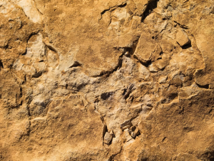 Обои Rasch Young Artists 101072