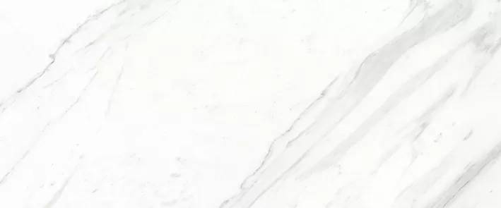 Керамическая плитка Gracia Ceramica Celia 10100000410 white 01 25x60