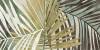 Декор Laparet Eternity VT/A662/48018R Tropic матовый обрезной 40x80 фото 6