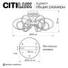 Умная люстра Citilux Salma Smart CL224A171 фото 13