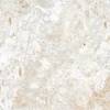 Керамогранит Absolut Gres Breccia Natural AB 1133G gloss 600x600 фото 8