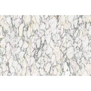 Керамогранит Zodiac Ceramica Breccia Medicea MN126AP321606 Глянец 6 мм 160x320
