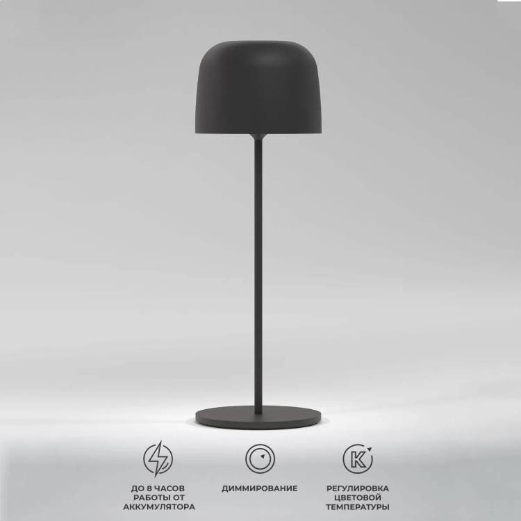 Настольная лампа светодиодная аккумуляторная Elektrostandard Bitty TL70260 черный