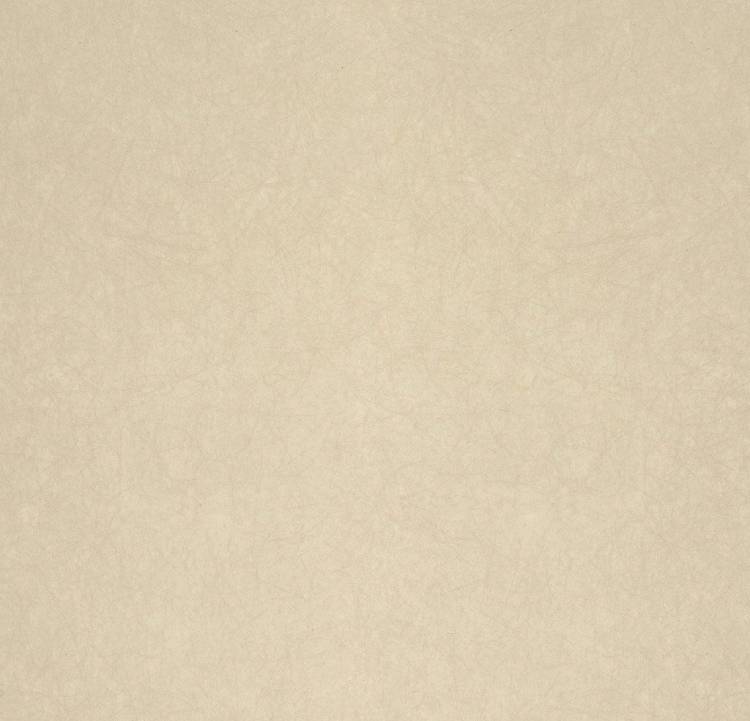 Обои флизелиновые Bernardo Bartalucci Legend 5068-22