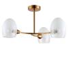 Люстра потолочная Lumion Kendall 6514/3C